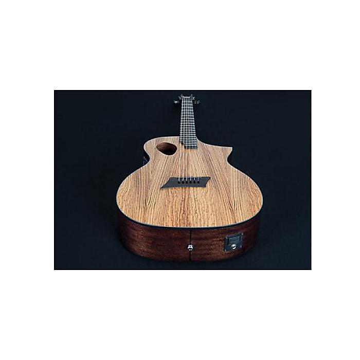 Michael Kelly Guitars ( マイケルケリーギターズ ) ／ Forte Port