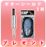 LINE6(ラインシックス) ／ POD HD500X - マルチエフェクター アンプ