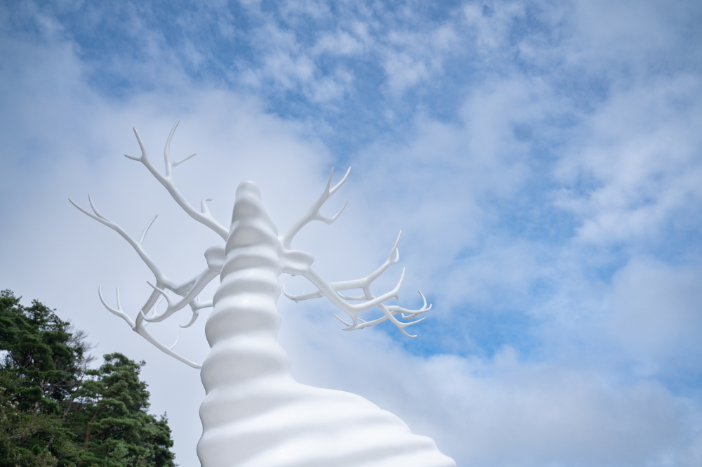 牡鹿半島で神秘的なアートWhite Deer (Oshika)に出会う旅 | 「タビスキ