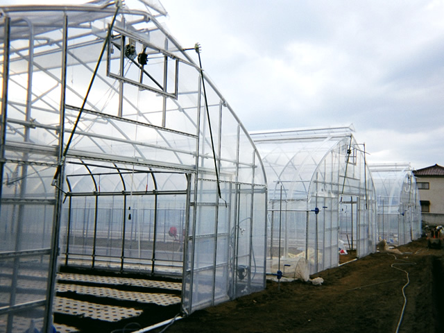宮田物産株式会社 商品案内：施設園芸用ハウス
