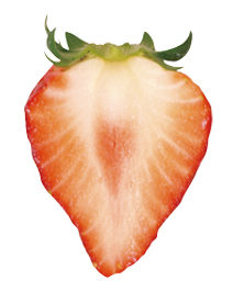 とちおとめ | 三好アグリテック株式会社