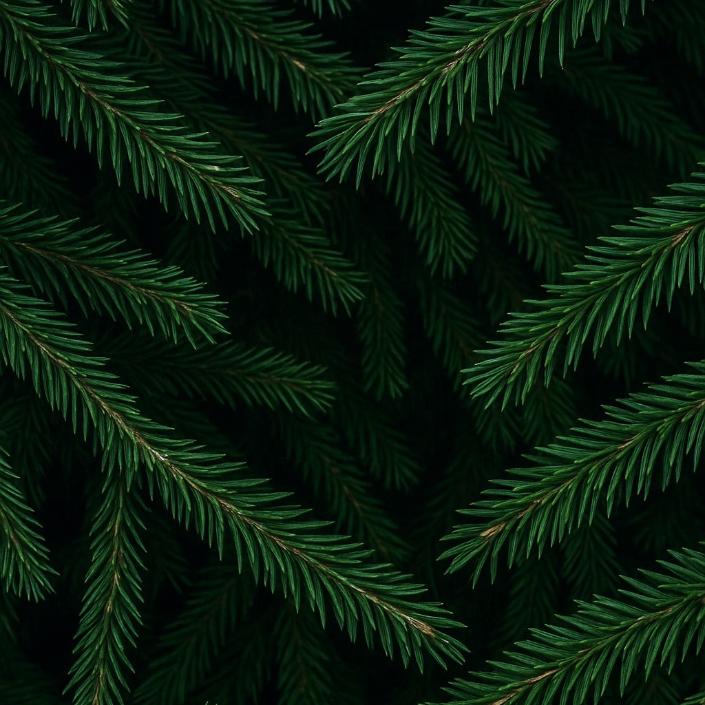 Scented Candle | Sapin de Noël | Woody Scent