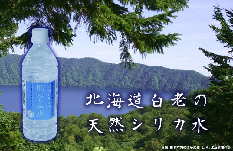 肌ぴりか水】 天然シリカ水 北海道白老の飲む温泉 500mlx24本入り / 水広場