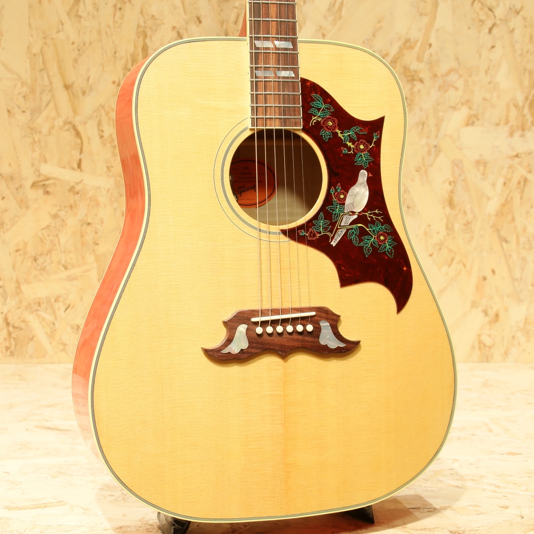 DOVE Original Antique Natural: アコースティックギター｜三木楽器