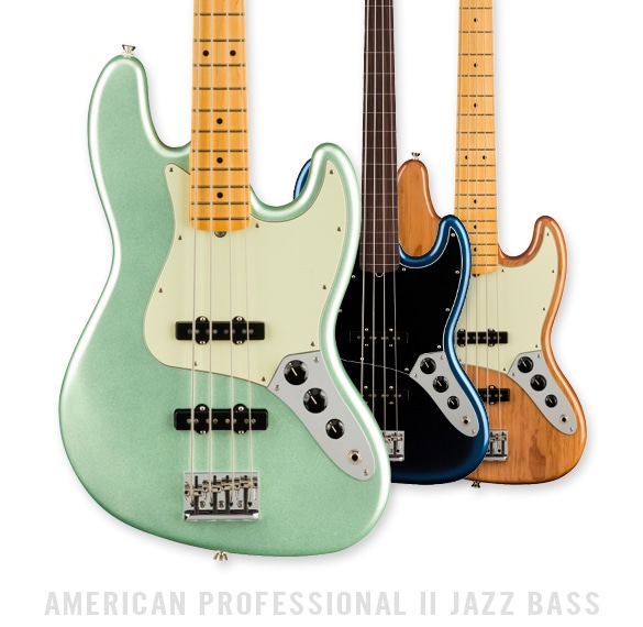 AMERICAN PROFESSIONAL II