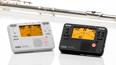 FINE.DS: エフェクター｜三木楽器公式通販サイト