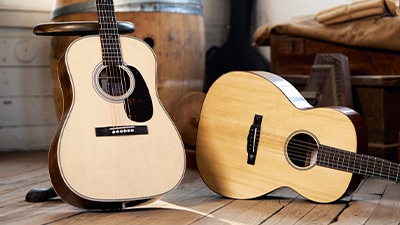 コンテンポラネア GINGA CO-PDG105N パンデイロ（プラヘッド）: ドラム