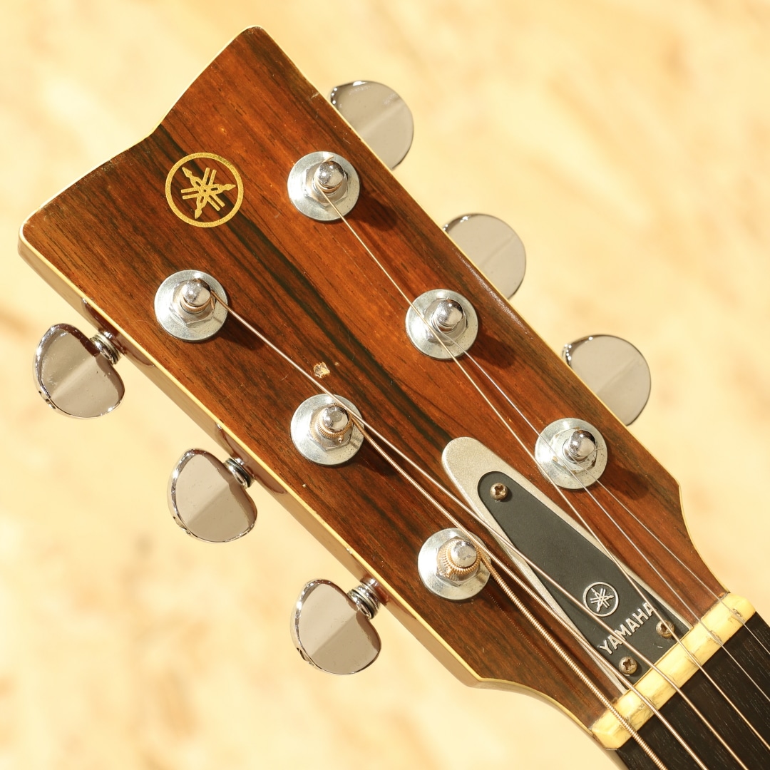 FG-500 Jacaranda 1971: アコースティックギター｜三木楽器公式通販サイト