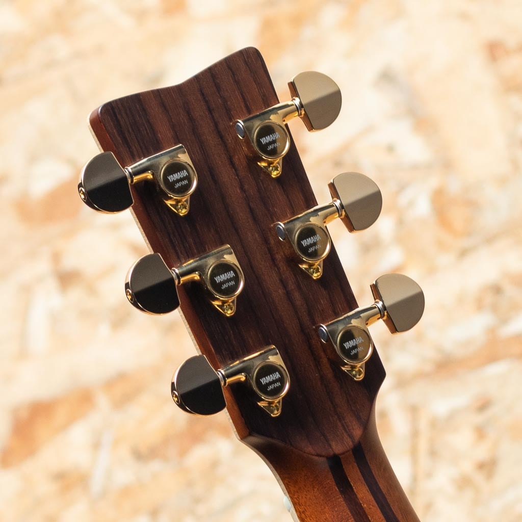 LJ36 ARE 2024: アコースティックギター｜三木楽器公式通販サイト