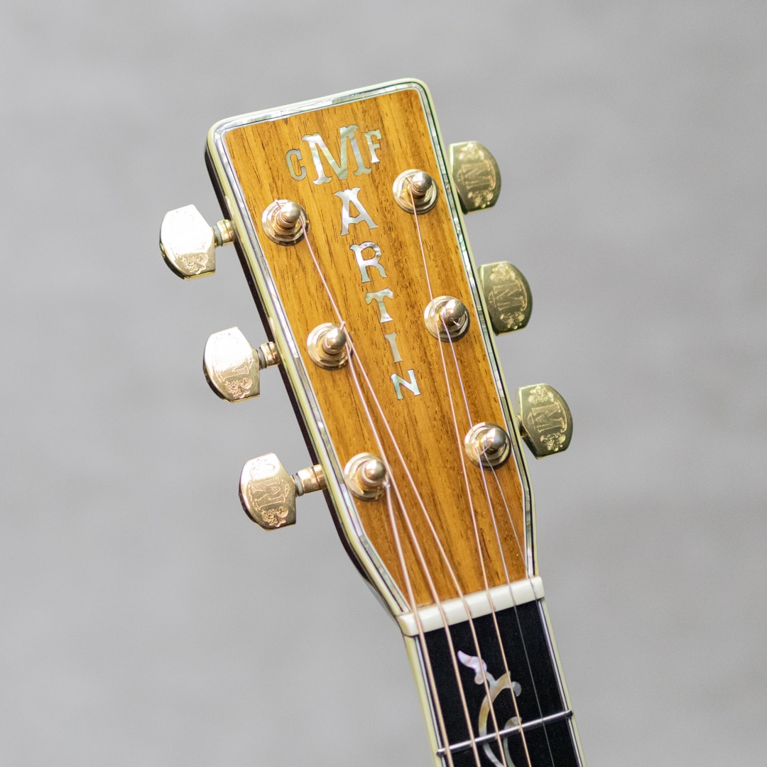 D-45 Deluxe Tree Of Life Jacaranda / 1993: アコースティックギター