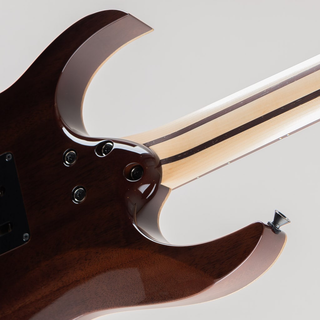 RG8620AH / Black Quartz: エレキギター｜三木楽器公式通販サイト