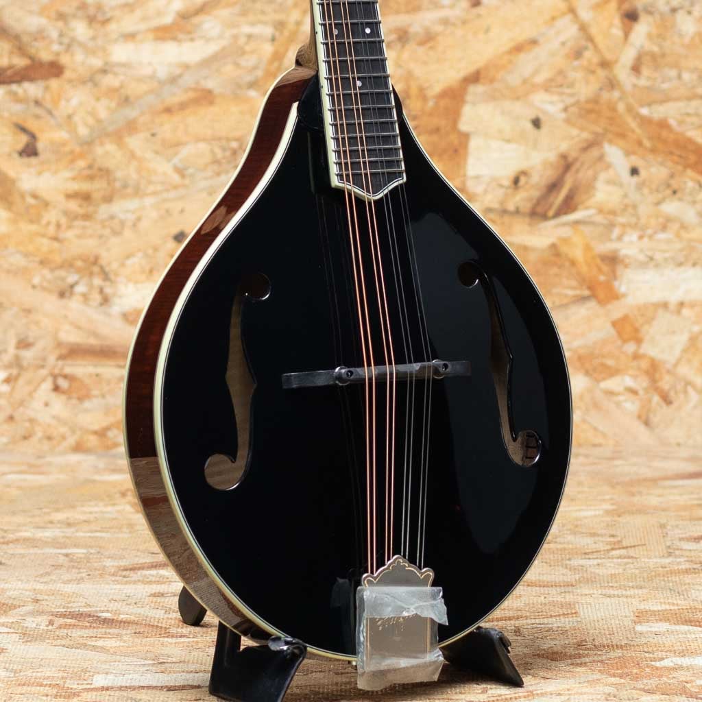 Flat Mandolin（フラットマンドリン）一覧 | | 三木楽器公式通販サイト