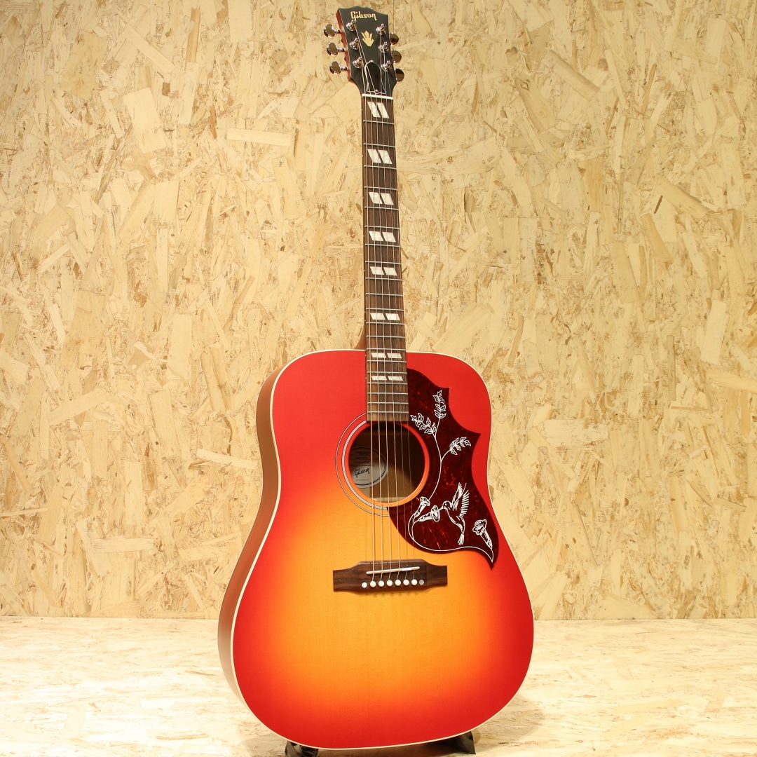 Hummingbird Special VCS: アコースティックギター｜三木楽器公式通販