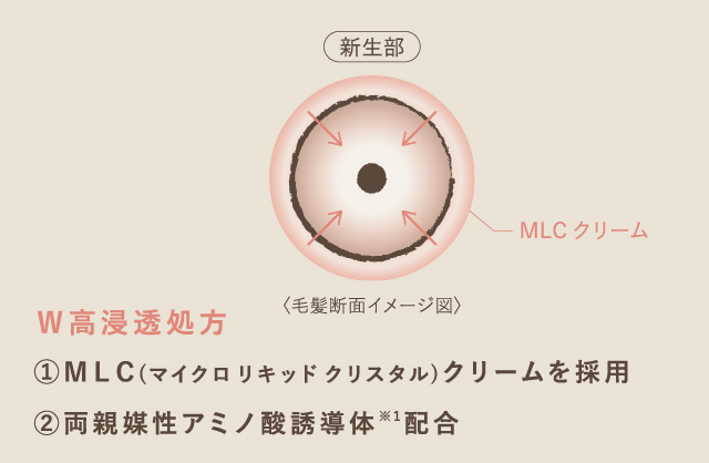 カラー】ハイトーンハーバル | ミアンビューティー（三口産業株式会社）