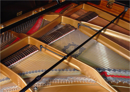 PM: PianoMic Series – Media Integration, Inc.