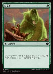 ミントモール / MINT GAMES MTG(東日本橋) / 【FDN】【JPN】〈223-C-G