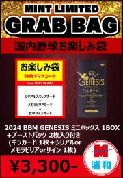 ミントモール / MINT 浦和店 / 【国内野球お楽しみ袋】 2024 BBM