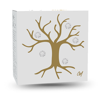 Fine Silver Coin - Jewel of Life (2014) | The Royal Canadian Mint