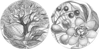 造幣局 : 国際コイン・デザイン・コンペティション2024の審査結果