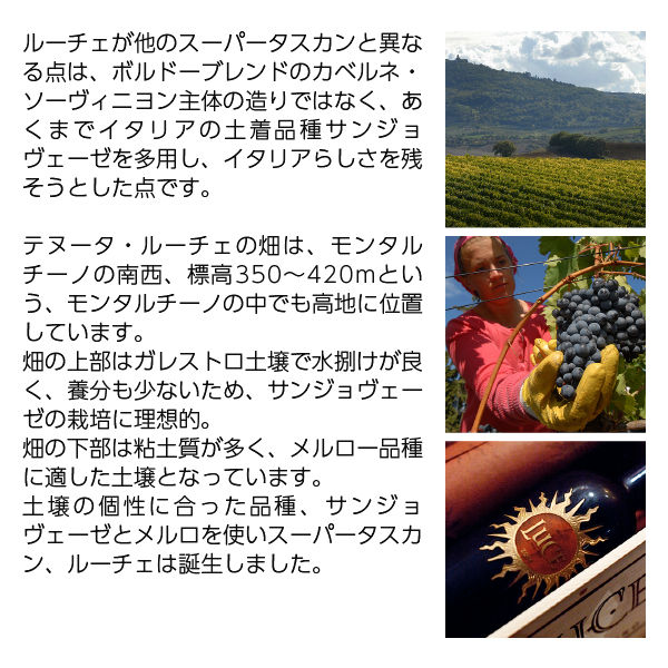 ルーチェのセカンドラベル テヌータ ルーチェ ルチェンテの通信販売