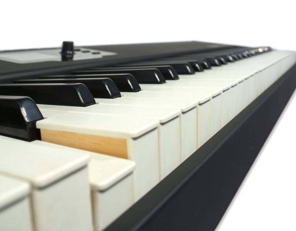 The Masters 〜最新マスター鍵盤頂上決戦！ 〜 Rock oNなら全製品対象