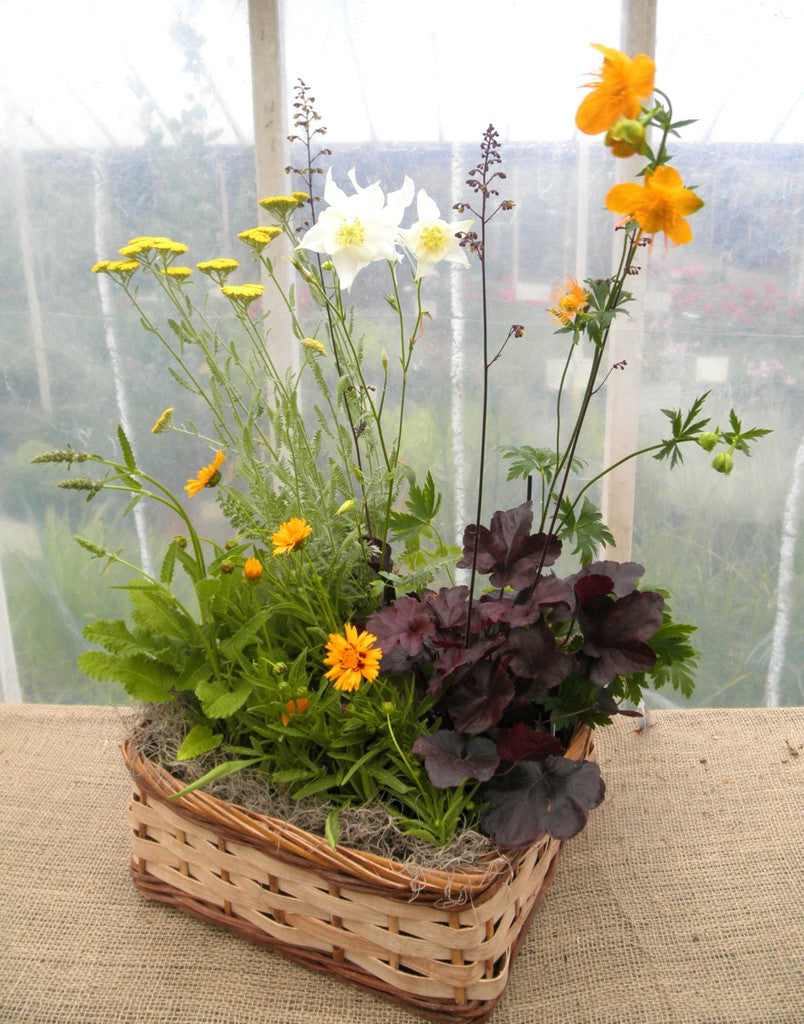 Perennial Garden Basket | Michler's Florist | Lexington, KY