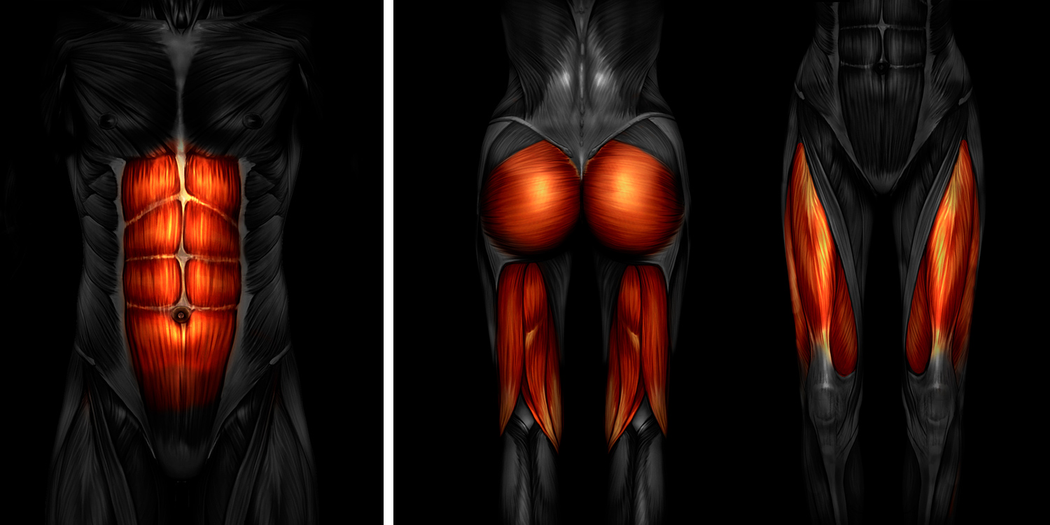 ジェルシートなしで腹筋、太もも・ヒップを鍛える次世代型EMSスーツ