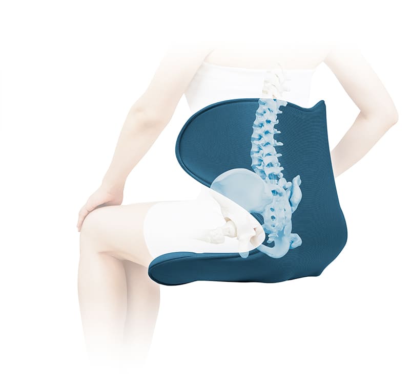 姿勢 骨盤 テレワーク】スタイルスマート（Style SMART） | MTG ONLINESHOP