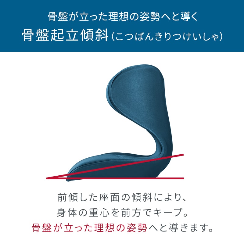 姿勢 骨盤 テレワーク】スタイルスマート（Style SMART） | MTG ONLINESHOP