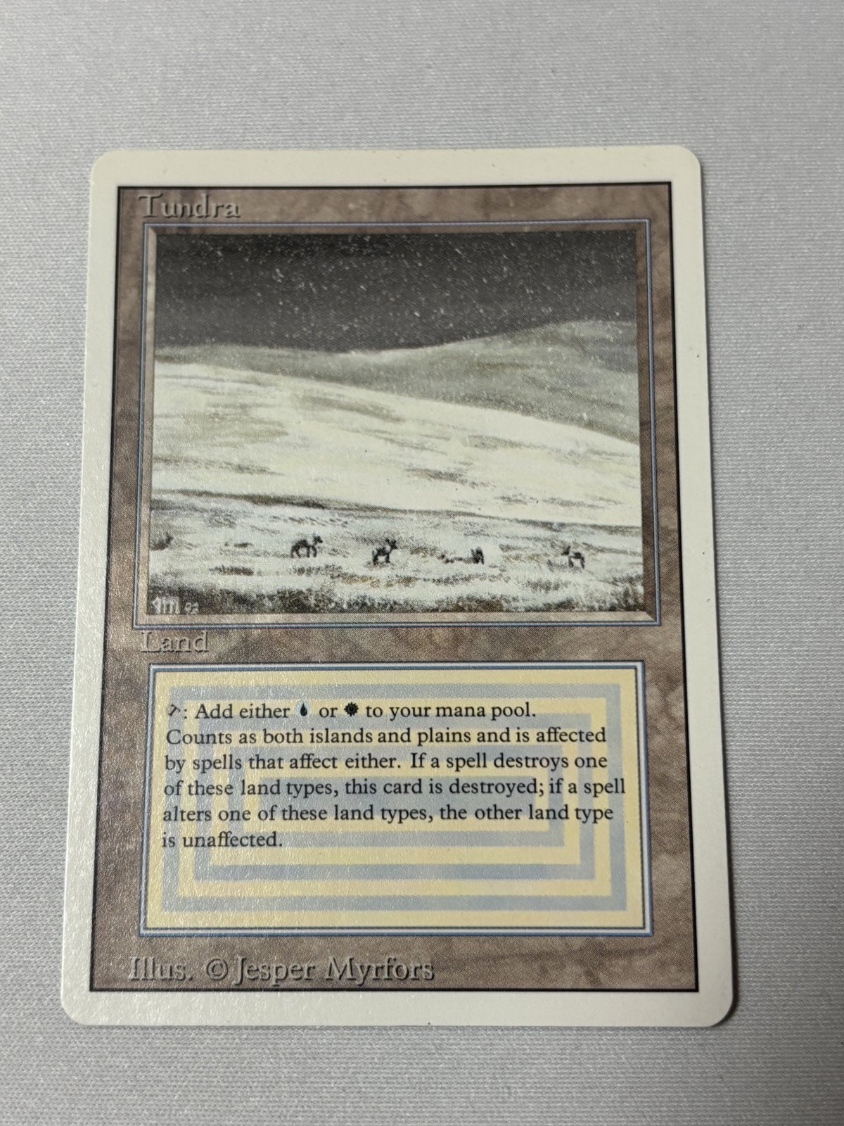 Tundra》[3ED] SP - MTG専門店 Initiative