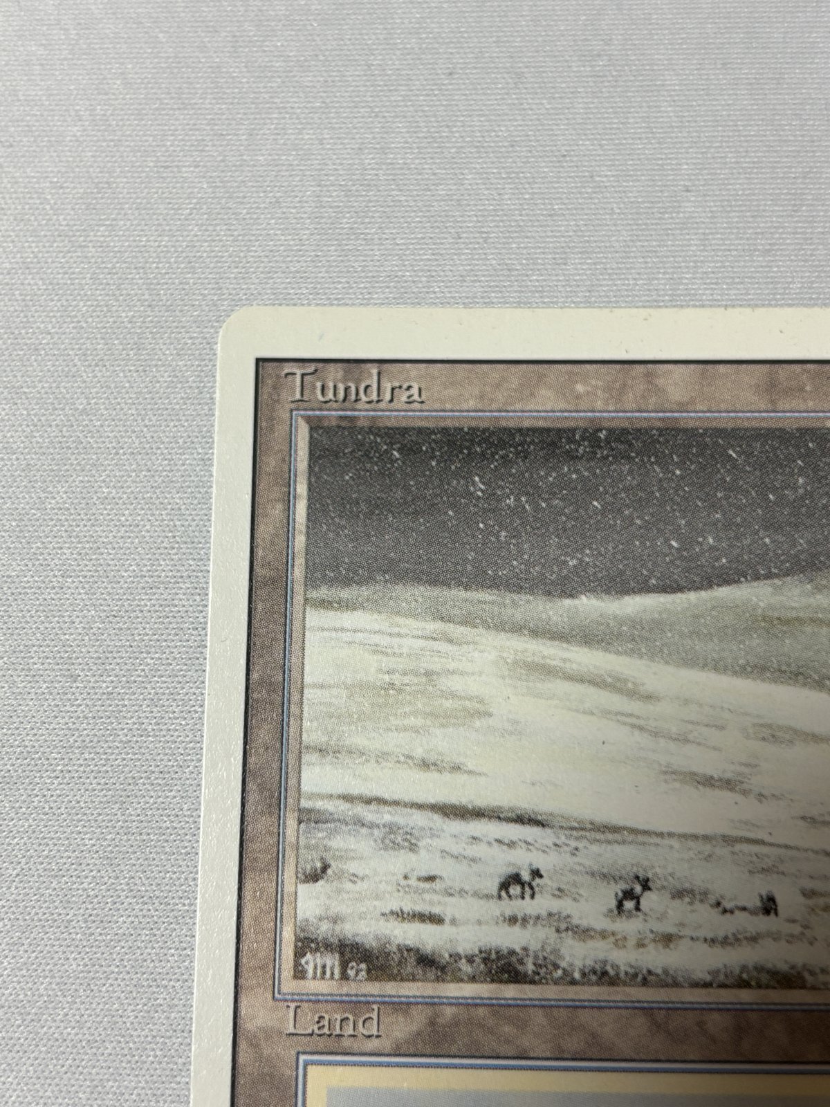 Tundra》[3ED] SP - MTG専門店 Initiative