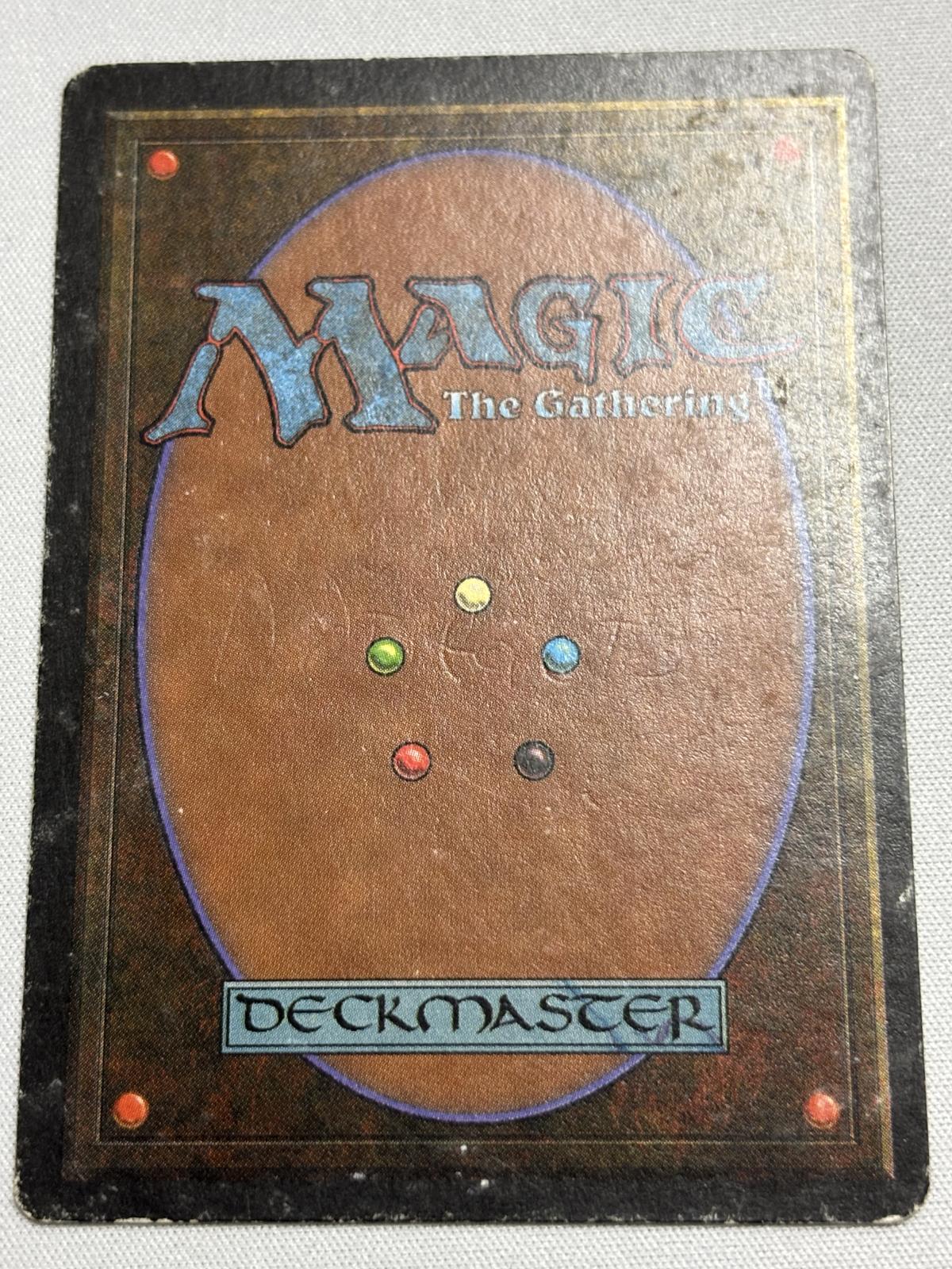 Savannah》[3ED] MP - MTG専門店 Initiative