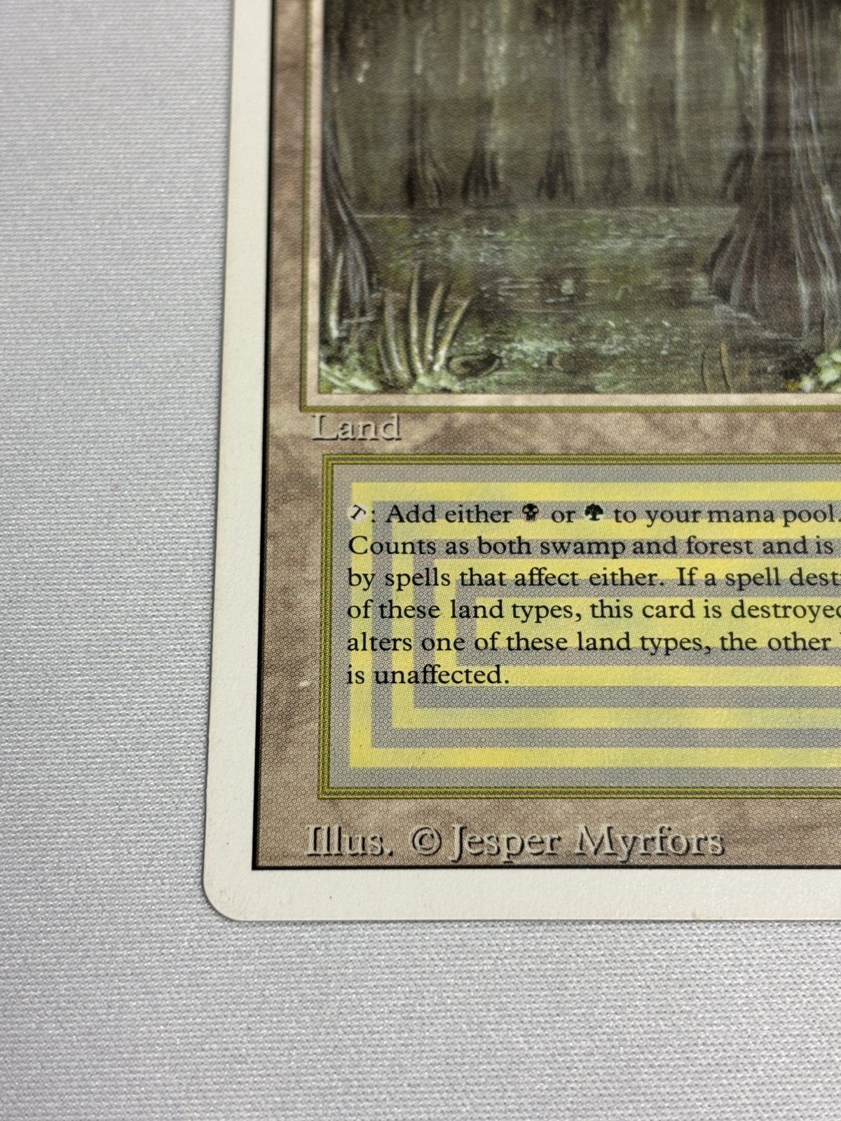 Bayou》[3ED] MP - MTG専門店 Initiative