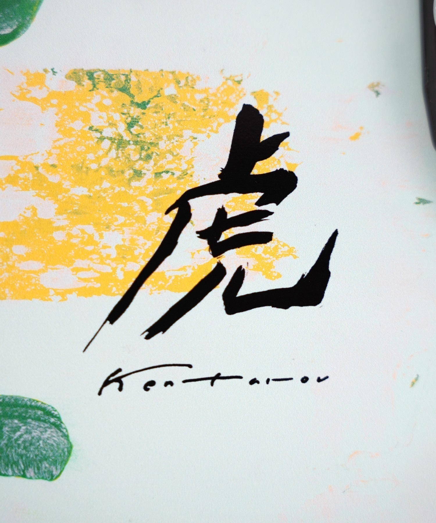 日本限定モデル CARVER カーバー ロング スケートボード LANDスケート