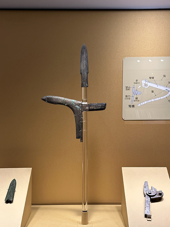 兵馬俑と古代中国～秦漢文明の遺産～ | レポート | アイエム