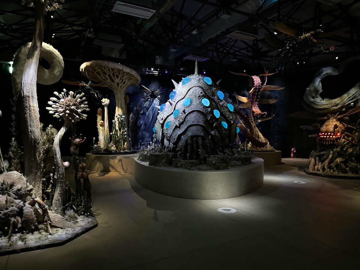 金曜ロードショー」の歩みとジブリ作品の魅力を紹介する展覧会