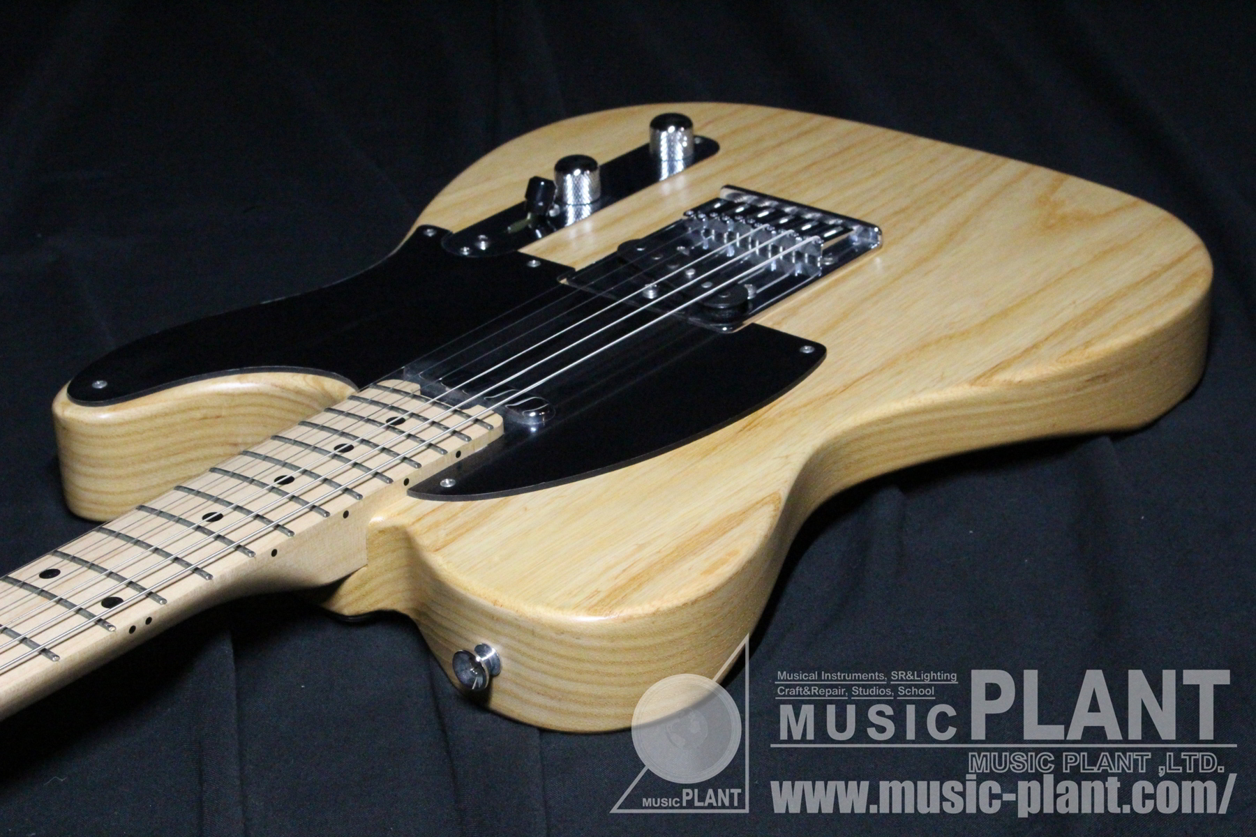 SCHECTER Progaugeシリーズ テレキャスタータイプPS-S-PT/M/VT新品