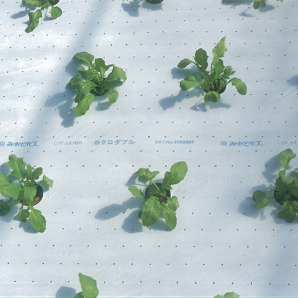 白黒サマーマルチ 厚さ0.025mm (全面有孔）(幅150cmx長さ200m 単品