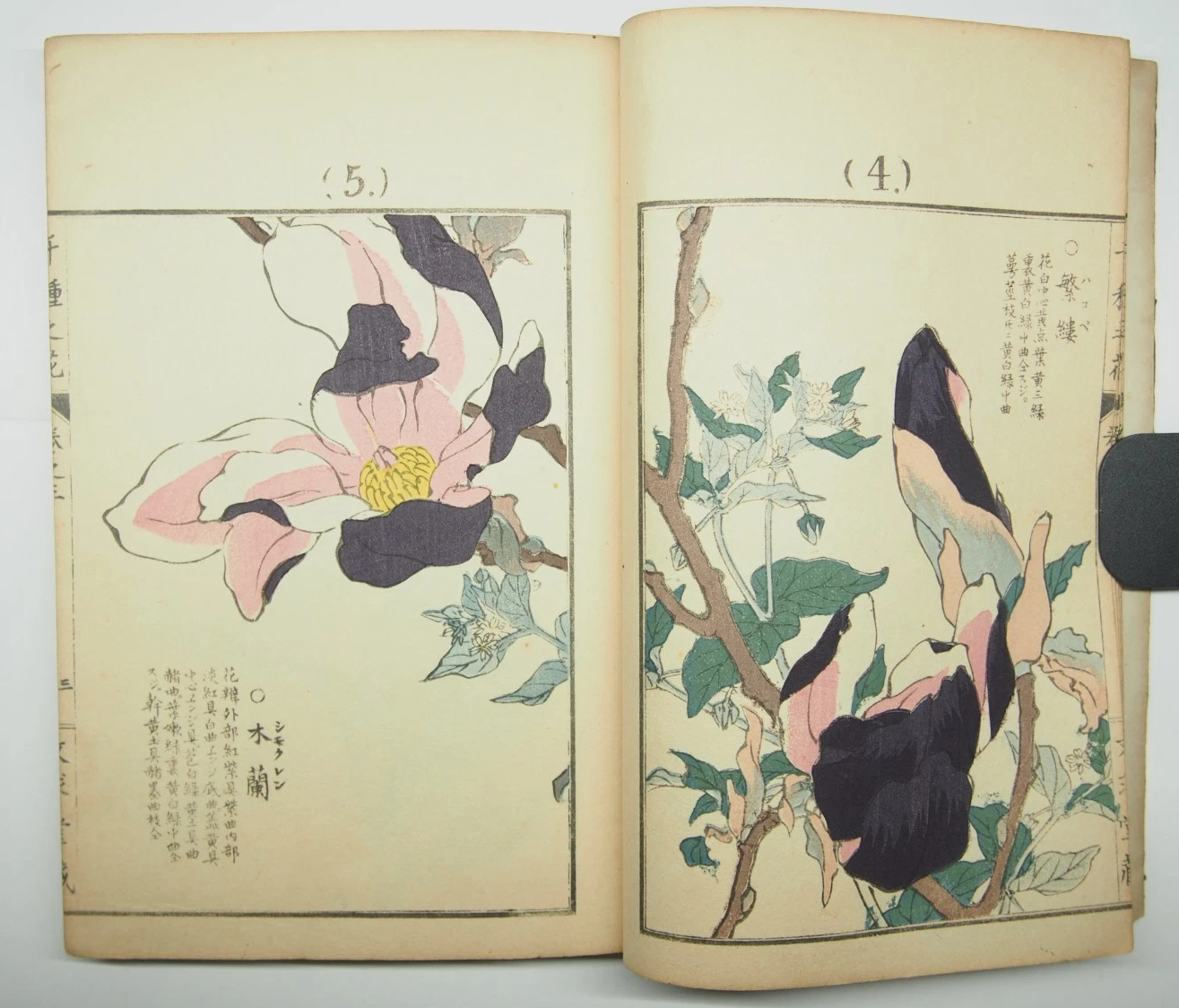 買取実績】花鳥画 多色摺木版画【10点85,900円】 | 浮世絵・版画の買取