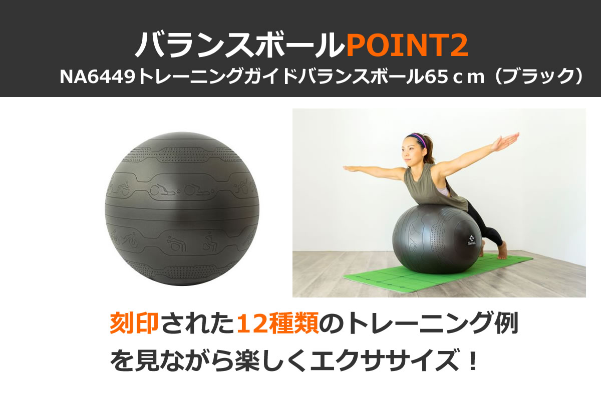 NA6449 トレーニングガイドバランスボール65cm ブラック｜Namala