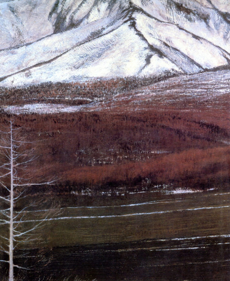 相原求一朗画集 / 相原求一朗 | Natsume Books