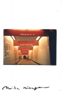 蜷川実花写真集 Baby Blue Sky. / 蜷川実花 | Natsume Books