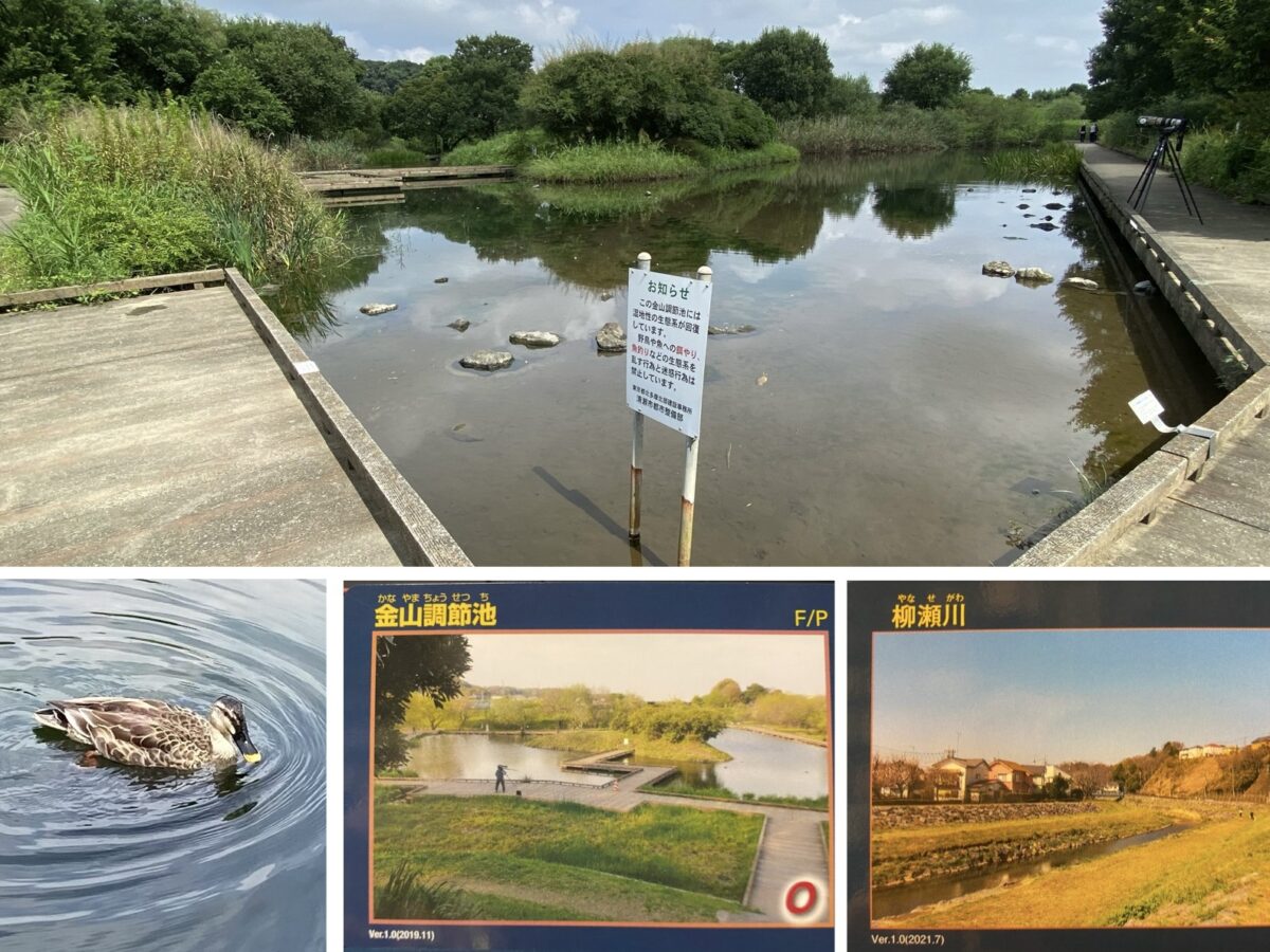 KAWAカード アーカイブ - 東京都限定配布カード- ブログ