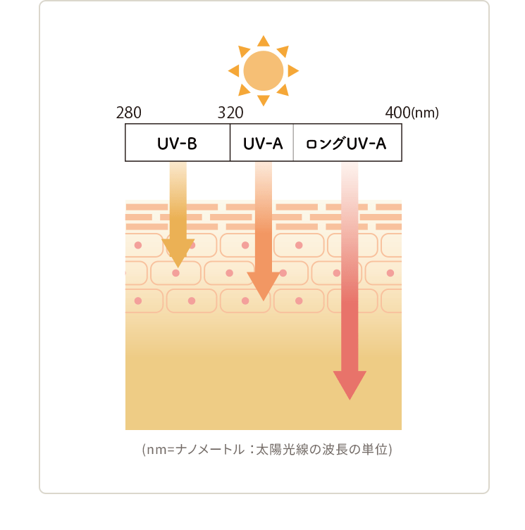 UVライトベール｜敏感肌向けスキンケア通販のナチュラルサイエンス