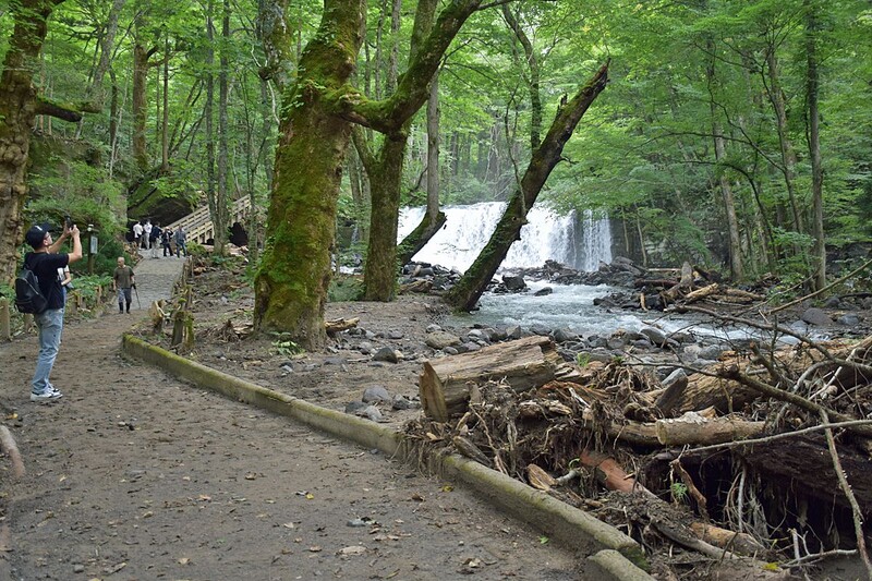 奥入瀬渓流歩道 全面再開／8月に大雨被害｜なびたび北東北