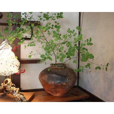 カテゴリ商品一覧｜備前焼、伊賀焼、織部、志野などの陶器通販｜や