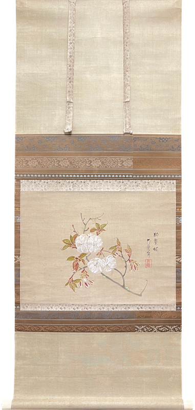 広瀬花隠 駒繋桜図/掛け軸(Hanging scrolls) 絵画の買取 販売 鑑定