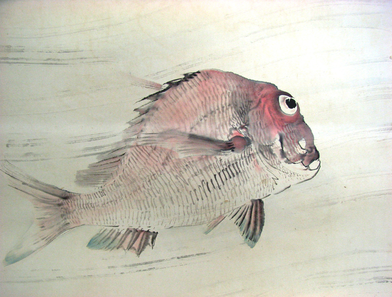 Web書画ミュージアム 中村左洲 泳ぐ鯛/長良川画廊