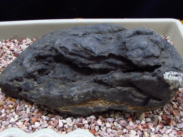 水石（すいせき） 観賞石 五泉市 仙見川石 | お宝なじら屋｜新潟の