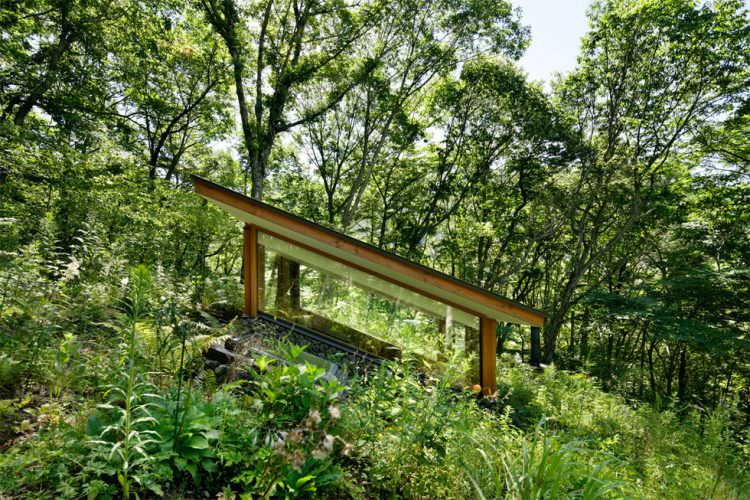 Cockpit in wild plants | Hiroshi Nakamura & NAP｜中村拓志＆NAP建築